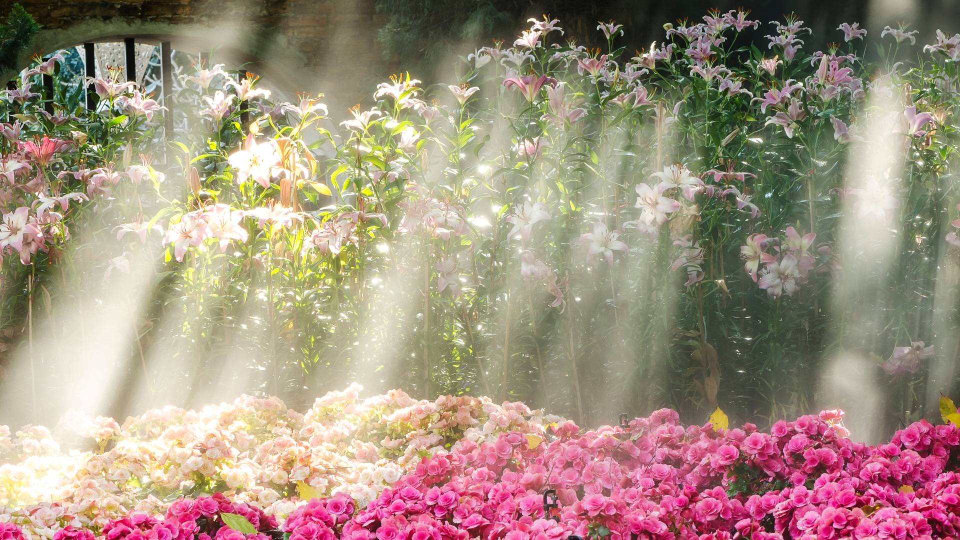 EUROFLORA